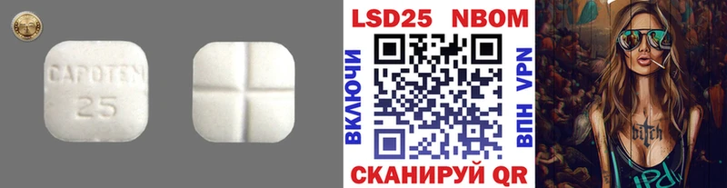 даркнет сайт Новодвинск LSD-25 экстази кислота