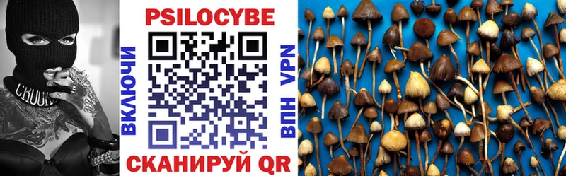 продажа наркотиков  Новодвинск  Псилоцибиновые грибы мухоморы 